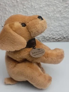 chiglia giocattoli monty golden labradour 9" pollici creato con amore gratis uk post & pac - Foto 1 di 24