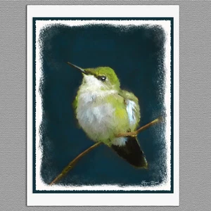 6 Kolibri Wildvogel Original Kunst Blanko Kunst Notiz Grußkarten - Bild 1 von 1