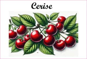 Cerise 12 Etiquettes vinyle conserve fruit légume confiture fait maison - Picture 1 of 15