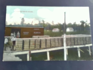 1910er POSTKARTE M.K.&T RAILWAY MISSOURI KANSAS TEXAS RAILROAD SCHWARZ MÄNNER BAUMWOLLE - Bild 1 von 2