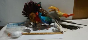 Vintage lot 8 Birds Wire Ornaments Real Feathers - Picture 1 of 6