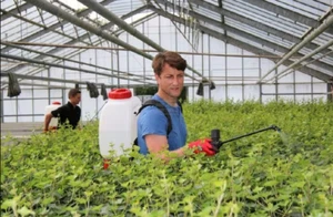  Irroratore a spalla a batteria 18 l SOLO 417 - Picture 1 of 2