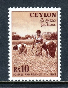 CEILÁN — SCOTT 328 — 1954 10r ARROZ COSECHA MARRÓN ILUSTRADO — MH — SCV $60 - Imagen 1 de 2