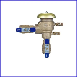 Conjunto de interruptor de presión de bronce de 1" - Prevención de reflujo de 150 psi - Imagen 1 de 2