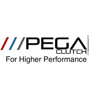 Lamborghini Gallardo & LP560 Clutch relining service PEGA BFXX Cermic 07L105269G - Picture 1 of 8