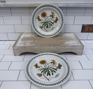 Portmeirion Botanic Garden Dinner Plates African Daisy Set of 2, Vintage 1972 - Picture 1 of 9