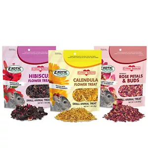 Tratamiento de flores (paquete de 3) - golosina herbívora - ardilla, conejillo de indias, conejo y más - Imagen 1 de 9