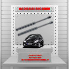 2 Pistoncini Bagagliaio Mercedes Classe A 200 W169 100Kw 2012    Mg20021