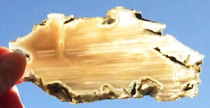 Losa de geoda natural - marrón - blanca - 12075 gramos - translúcida - Arizona - Imagen 1 de 4