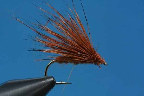 Rostbraune Buck Caddis - Bild 1 von 1