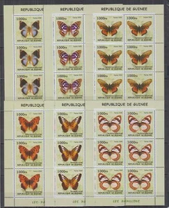 ST253P6. Guinea - MNH - Butterflies - Sheets of 6  - Picture 1 of 1