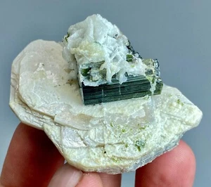 Albite Crystallized Green Tourmaline Crystal on Mica Matrix/73 grams - Picture 1 of 10