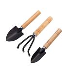 2X( 3 Garden Tool Hand Planting Tools Small Shovel Rake Spade Wood Handle