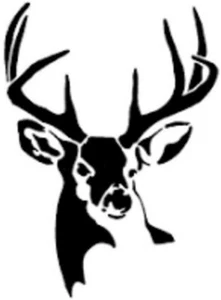 Whitetail Buck Car Truck Window Vinyl Decal Large Sticker Multiple Sizes - Picture 1 of 9