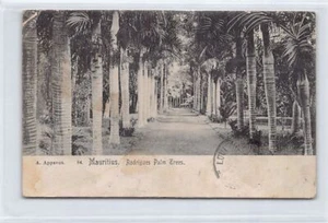 Mauritius - Rodrigues Pam Trees - Publ. A. Appavou - Picture 1 of 2