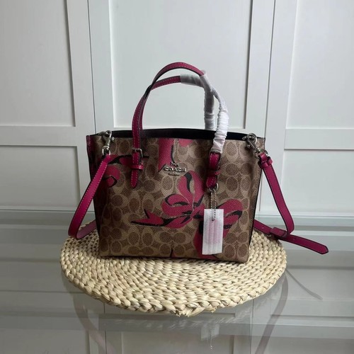 Borsa Coach Mollie Tote Bag 25 in tela firmata CZ767 con uscita stampa fiocco NUOVA