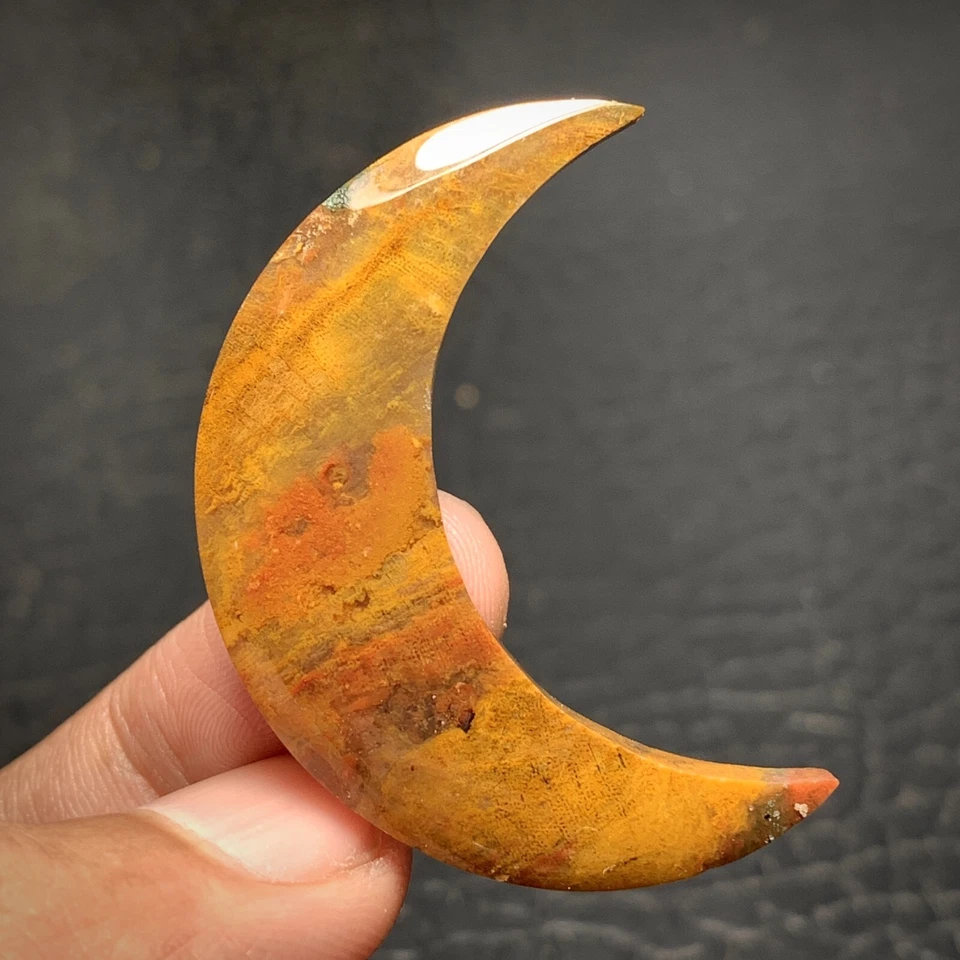 Jasperized Coral Fossil Cabochon 41x13x5mm High Quality 29 ct - Image 1 of 4