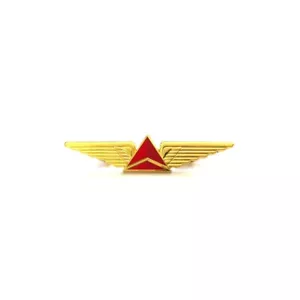 WING Pin Delta Airlines Pilot Wing (3.5 inch) - Picture 1 of 2