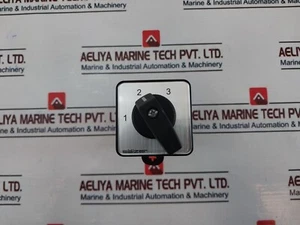 Salzer P220-61069-219M1 Interruttore a camme rotante 20 A, 300 VAC - Foto 1 di 9