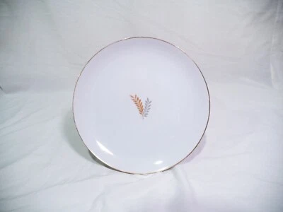 Juego De 11 Platos Grandes Narumi Lorel China Japonesa De Colección Blanco Con Borde Dorado Foto 1 de 4