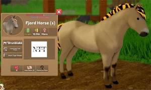Wild Horse Islands - Brunblakk, Tiger Stripes, Fjordpferd - IUH - Bild 1 von 1