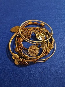 Lote de 7 Pulseras Brazalete Alex and Ani Charm Ajustables Tono Dorado y Plata Perro - Imagen 1 de 9