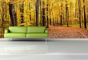 Gorgeous Autumn Forest Nature Path 3D Full Wall Mural Photo Wallpaper Home Decor - Picture 1 of 8