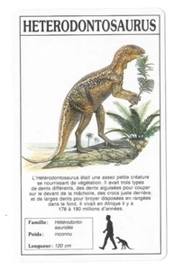 Herzogskarte - Heterodontosaurus - Bild 1 von 2