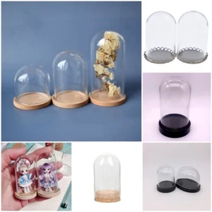 Miniature Glass Dome Display Bell Jar Cloche with Base Doll Gift Holder Decor - Picture 1 of 22