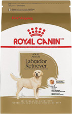 royal canin lab adult