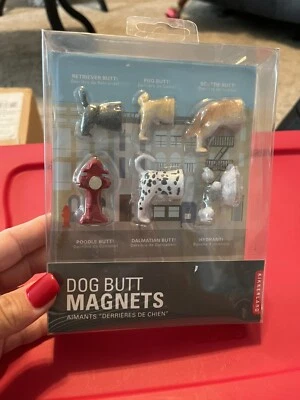 Набор из 6 магнитов для собачьего приклада от Kikkerland Design новая легкая коробка складная - Изображение 1 из 3
