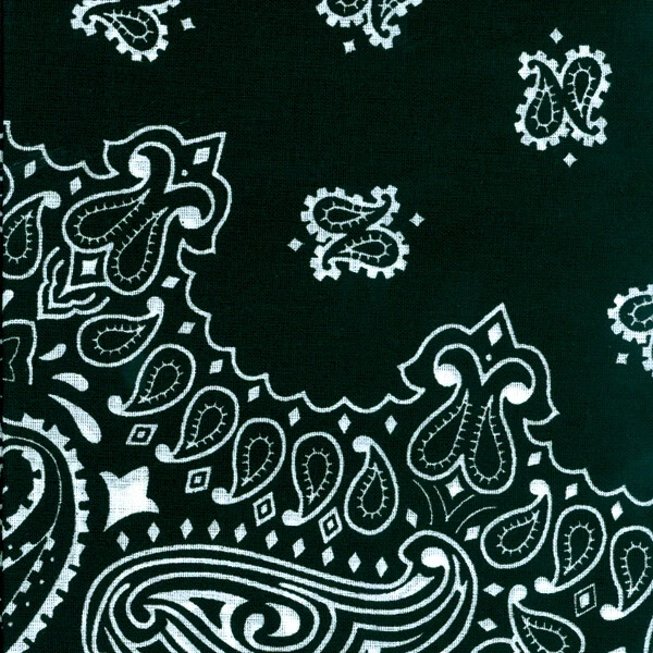 Carolina Hav-A-Hank Paisley Bandana 22"X22"-Negro Foto 1 de 1