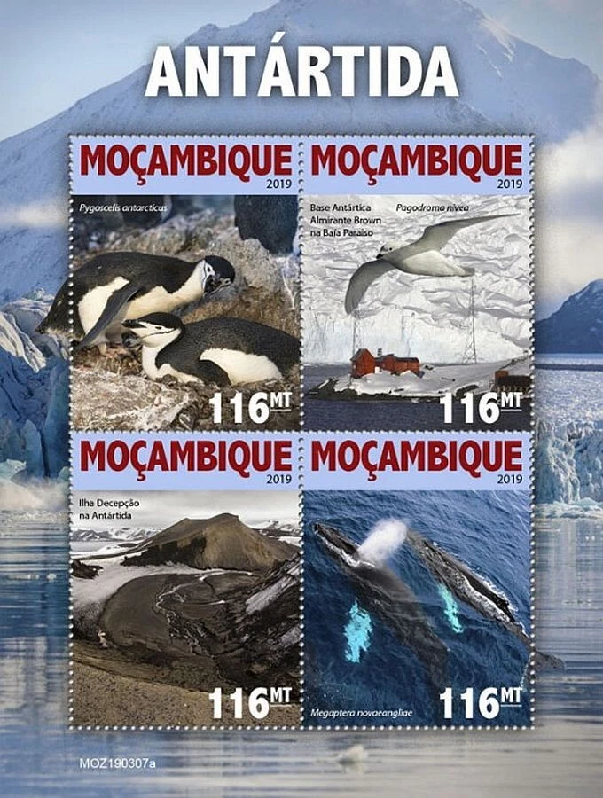 Hoja de estampillas Antártica vida silvestre ballenas aves marinas/aves MNH #1867 2019 Mozambique Foto 1 de 1