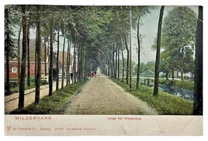AK Wildervank Niederlande • Baumgesäumte Straße • ungeteilt verschickt 1903 - Bild 1 von 2
