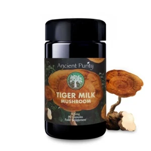 TIGER MILK MUSHROOM 90 Capsules | Organic | Breathing Respiratory | Cognition - Picture 1 of 9