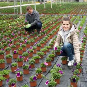 100 Pcs 4 Inch Plant Nursery Pots Bulk Plastic Pots Plants Seed Starting Pot. - Picture 1 of 6