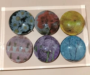 Spring Flower Button Magnets Set Of 6 - Picture 1 of 6