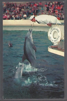 MARINELAND OF THE PACIFIC Postal Marsopa Feeding Time Marineland Dolphins Foto 1 de 2