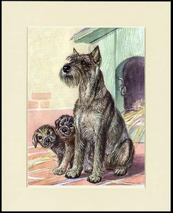 SCHNAUZER MOTHER AND PUPS CHARMING DOG PRINT MOUNTED READY TO FRAME - Picture 1 of 1