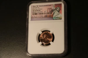 2019 W Shield Cent 1st Uncirculated West Point Mint NGC MS69 RD PL FDOI - Picture 1 of 2