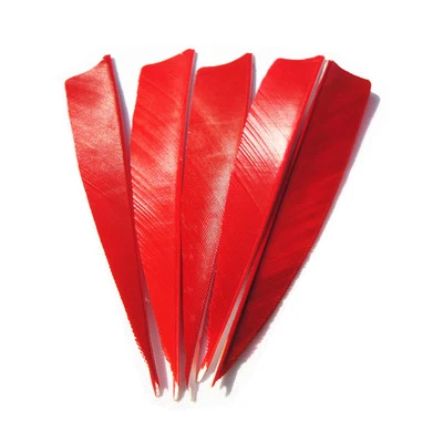 50pk 4 Inch Turkey Feather Fletching For Archery Hunting Arrows & Crossbow Bolts - Image 1 of 4