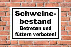 Schild Schweinebestand - Betreten und fttern verboten - 4 Gren - S00039-023