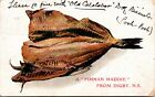 Postcard NS Digby A Finnan Haddie Smoked Haddock Fish RARE 1908 K19