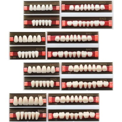 1 Set B1 A1 A2 A3 Shade Dental Full Mouth 2-Layer Synthetic Resin Teeth Denture - Image 1 of 4