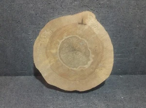 Baumscheibe, Holzscheibe, unbearbeitet, Bastelholz,Holzdeko, Gestockte Birke - Bild 1 von 10
