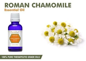 Natural Chamomile Roman Essential Oil Pure Aromatherapy Oils Therapeutic Grade - Picture 1 of 3