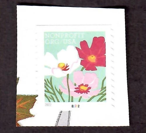 2022 US Scott 5664 5¢ Flowers NONPROFIT ORG/USA Used on Paper Plate Number B2222 - Image 1 of 1