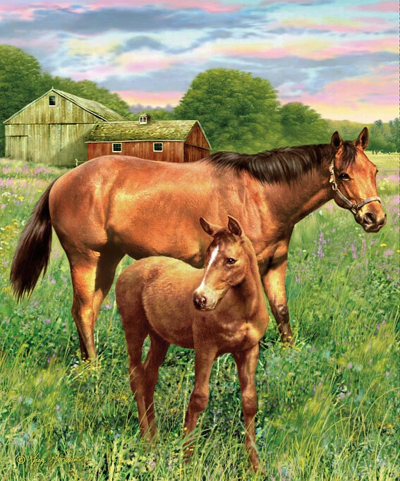 Horse Filly Animals Fabric 36” X44” Panel Cotton Greg Giordano Hold Your Horses - Image 1 of 1