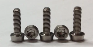 6 x Titan Gr. 5 Schrauben KONISCH / Titanium Gr. 5 DIN 912 tapered M3 x 10 TORX - Picture 1 of 1