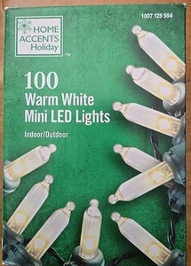 Home Accents Holiday 100ct warmweiße LED Mini Lichterkette mit grünem Draht NEU - Bild 1 von 3